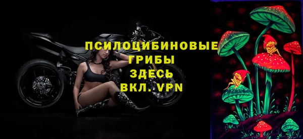 гашик Алзамай