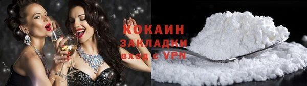 амф Ельня