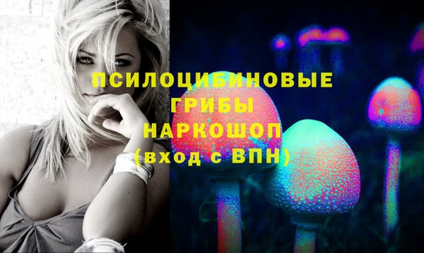 гашик Алзамай