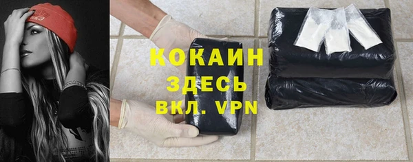 гашик Алзамай