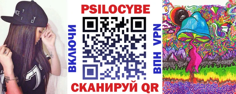 наркота  Александровское  Псилоцибиновые грибы Psilocybine cubensis 